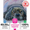 Картина по номерам 40х50 см, ОСТРОВ СОКРОВИЩ "Мечтай!", на подрамнике, акрил, кисти, 662904 по низкой цене оптом 